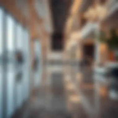 Magnificent Exploring Cleaning Services for Villas in Dubai