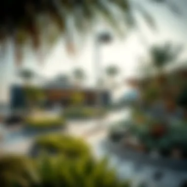 Magnificent Navigating the Garden Center Landscape in Dubai Magnificent Navigating the Garden Center Landscape in Dubai