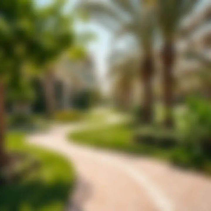 Lush green park area adjacent to Al Mamzar Beach