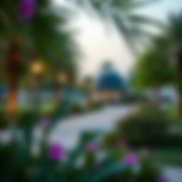 Community Park in Al Shaab Village Community park in Al Shaab Village highlighting green spaces