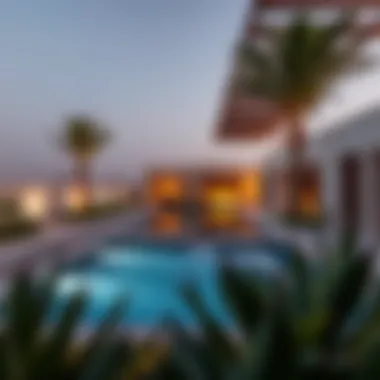 An In-depth Exploration of Shawka Pools: Features, Design, and Market Insights Summary An In-depth Exploration of Shawka Pools: Features, Design, and Market Insights Summary