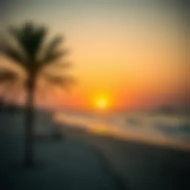 Tranquil Beach Sunset A serene beach with the sun setting over the Arabian Gulf.