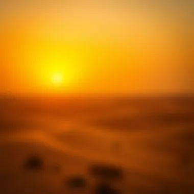 Golden Desert Sunset The Dubai desert landscape under the golden glow of sunset.