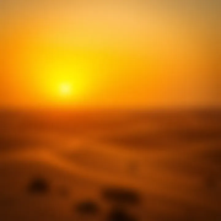 Golden Desert Sunset The Dubai desert landscape under the golden glow of sunset.