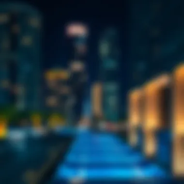 Essential Resources for Visa Management in Dubai Resources for visa management