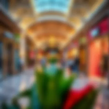 Interior shopping space filled with diverse retail options