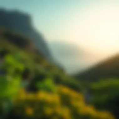 The Lush Green Mountains of Dibba Lush green mountains surrounding Dibba