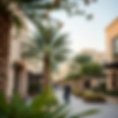 Vibrant community spaces in a popular Dubai neighborhood