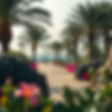 Natural Beauty Surrounding Al Jubail Walkway Vibrant coastal surroundings of the Al Jubail Walkway with natural elements