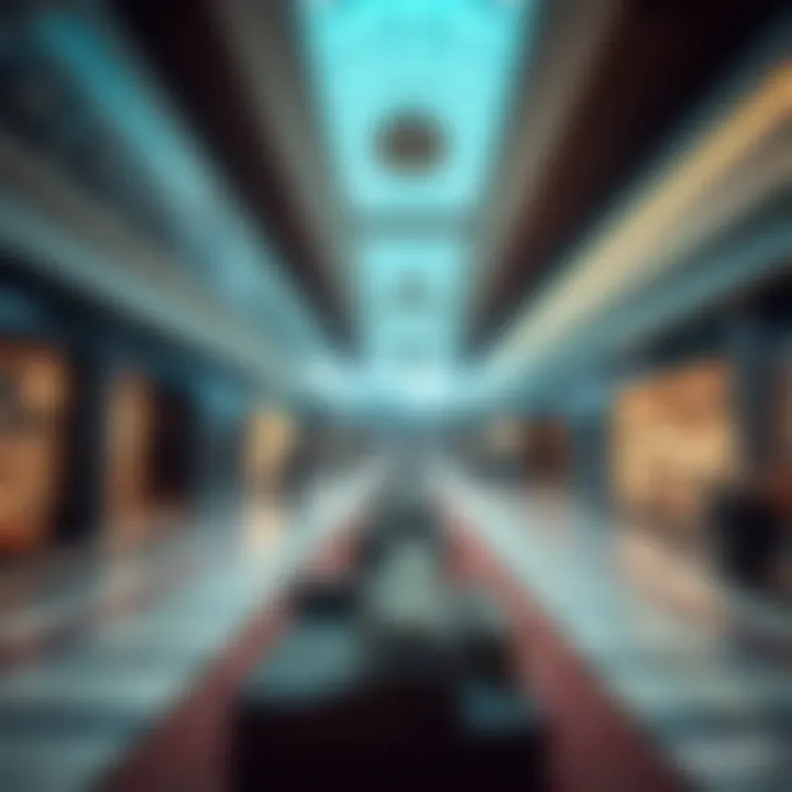 Retail Diversity at دو الجيمي مول Diverse retail options inside دو الجيمي مول offering a rich shopping experience