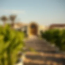 Exploring Farms in Dubai: A Comprehensive Insight Introduction