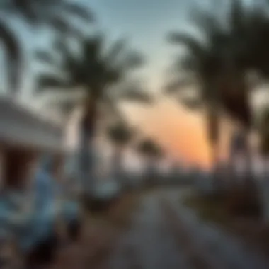 Notable Exploring Farms in Dubai: A Comprehensive Insight Notable Exploring Farms in Dubai: A Comprehensive Insight