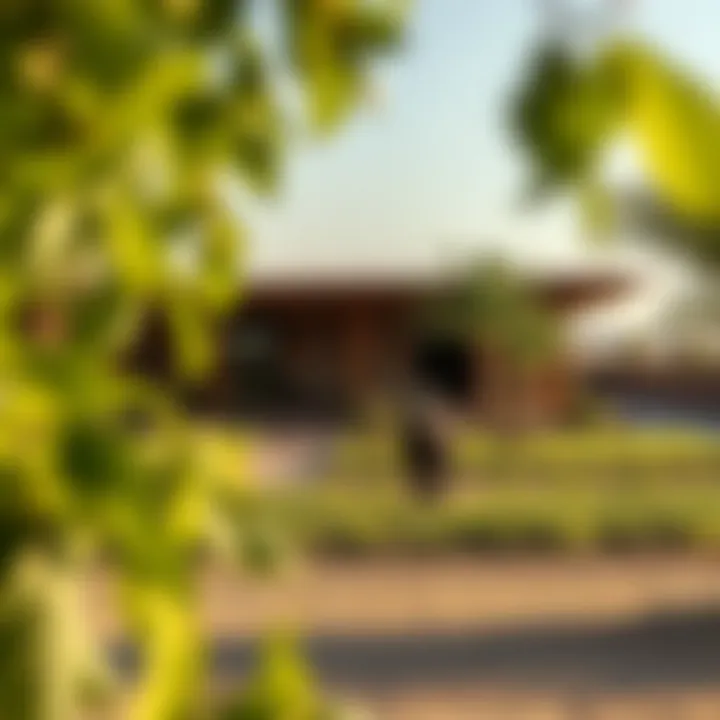 Exploring Farms in Dubai: A Comprehensive Insight Summary