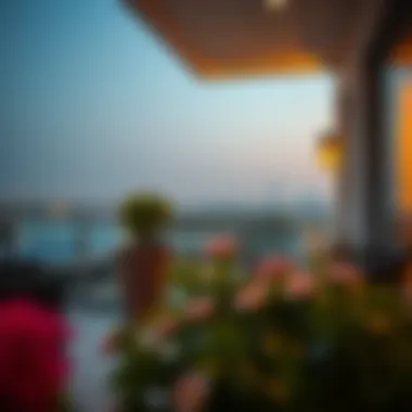 Tranquil views from a balcony in Oud Metha