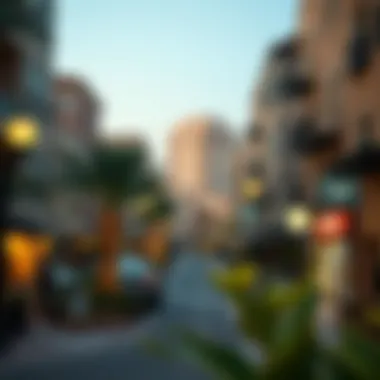 Oud Metha neighborhood showcasing local amenities