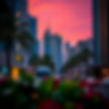 Vibrant Surroundings of International City Nearby attractions showcasing the lively surroundings of International City