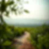 Lush greenery of Liwa Al Khadra showcasing sustainability