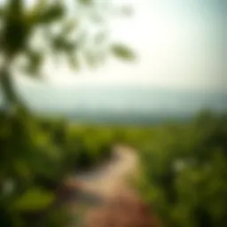 Lush greenery of Liwa Al Khadra showcasing sustainability