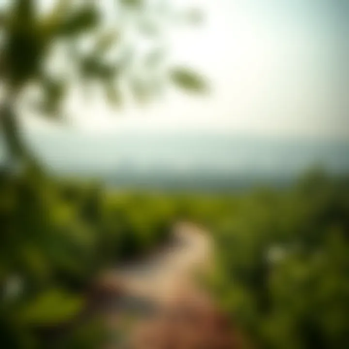 Lush greenery of Liwa Al Khadra showcasing sustainability