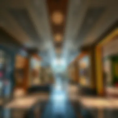 Exploring المنار مول: An Insight into Dubai's Retail Landscape Summary Exploring المنار مول: An Insight into Dubai's Retail Landscape Summary