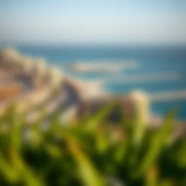 Stunning Panoramic View of Mamzar Beach Panoramic view of Mamzar beach and waterfront