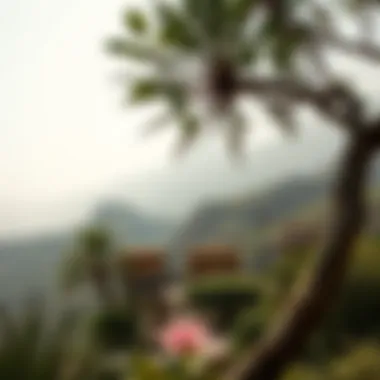 The Serenity of Hajar Mountains Lush oasis in the Hajar Mountains