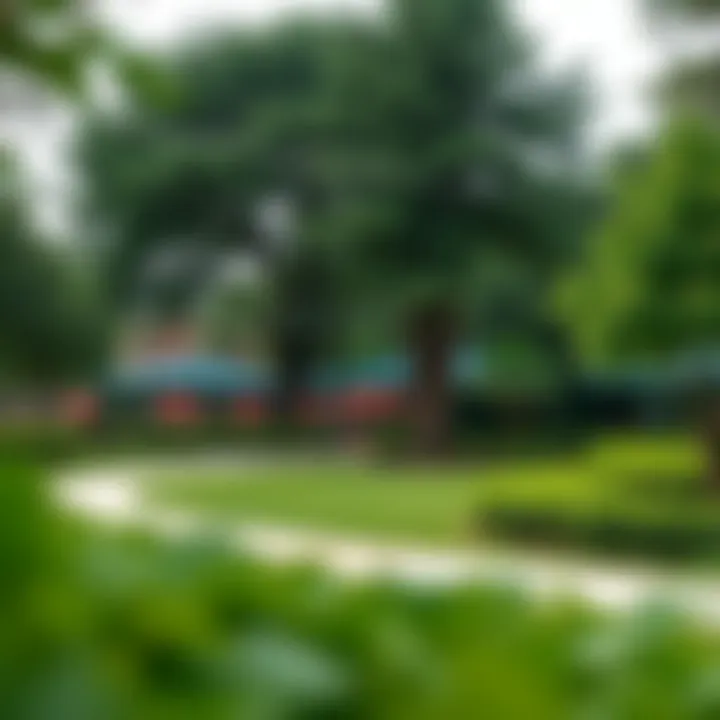 Community park in Orchard Place with lush greenery and recreational areas