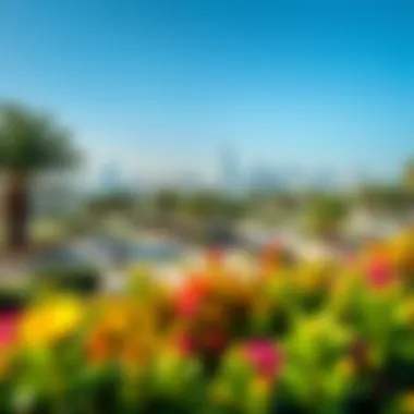 A panoramic view of Dubai's vibrant park showcasing lush greenery and urban skyline.