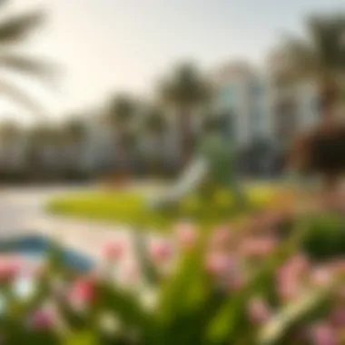 Community Amenities Community amenities in International City, featuring parks and recreational areas