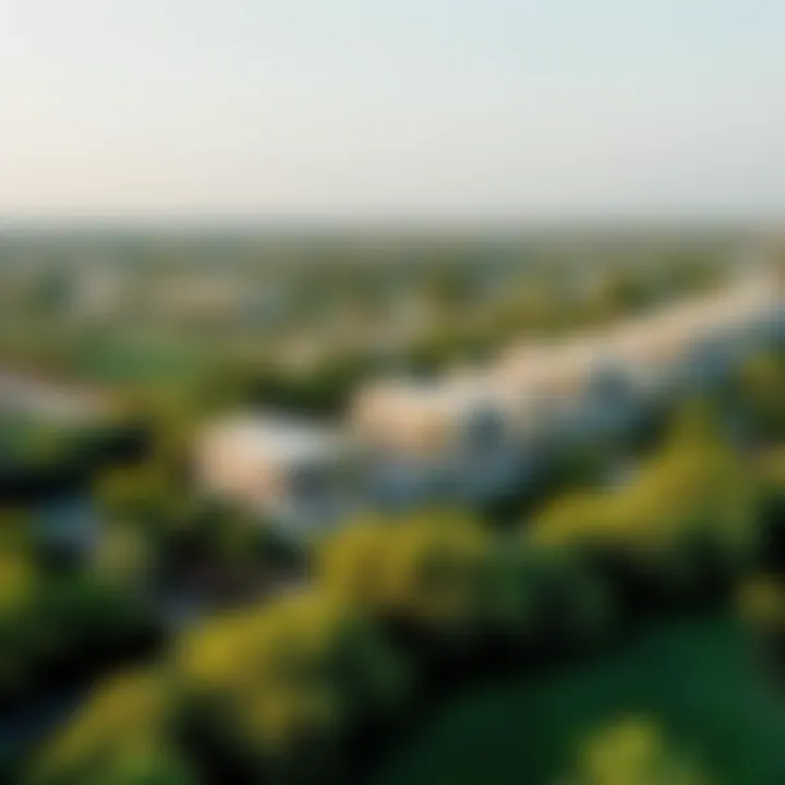 Aerial view of Satwa highlighting the lush greenery and villas