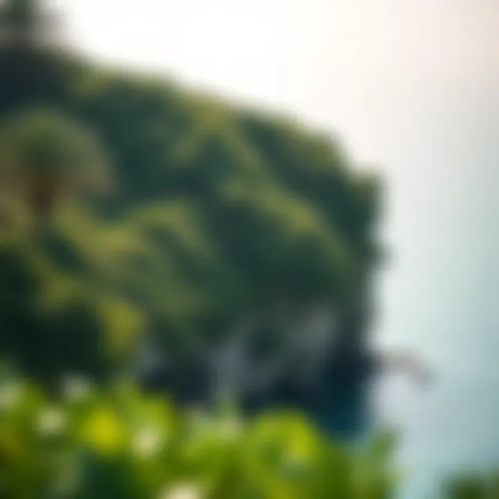 Lush Greenery Surrounding Secret Beach Lush greenery and natural surroundings at Secret Beach