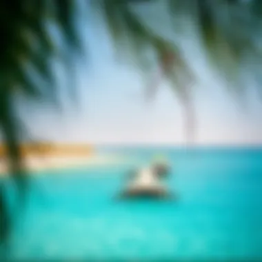 Turquoise Waters of Secret Beach Serene view of Secret Beach with turquoise waters