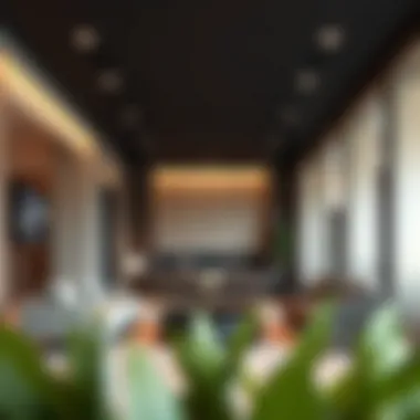 Luxurious Interior Design Elements Interior design highlighting luxury finishes and open spaces