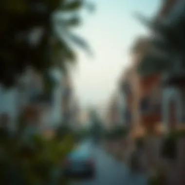 Neighborhood view of Rashidiya