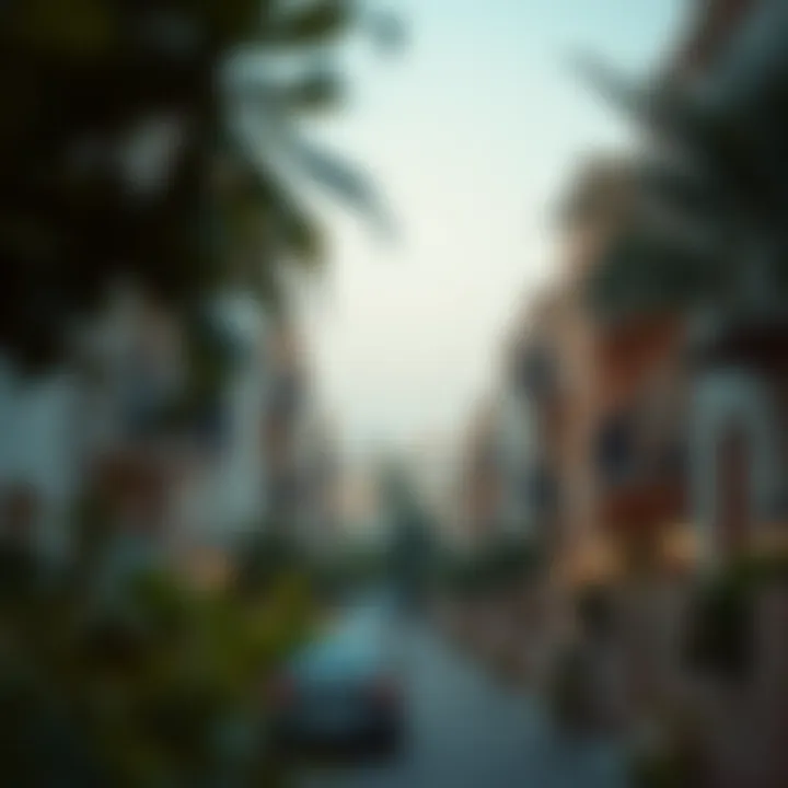 Neighborhood view of Rashidiya