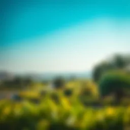 Lush green landscapes of the Meadows community