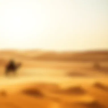 Desert landscape in Abu Dhabi