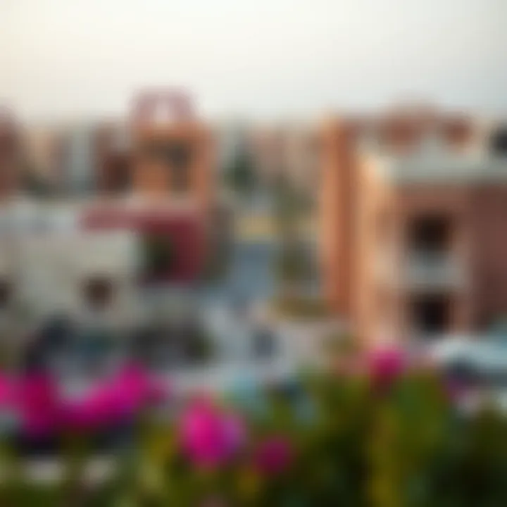 View of Al-Worood neighborhood amenities
