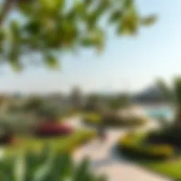 A panoramic view of Zaabel Park showcasing its lush greenery and walking paths