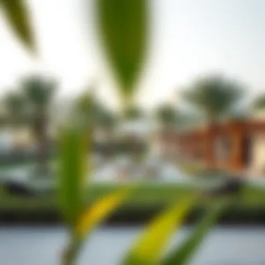 Community Amenities at Fairway Villas 2 Community amenities enhancing lifestyle at Fairway Villas 2