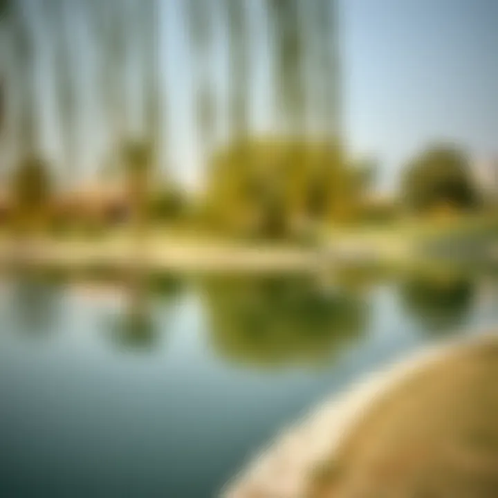 Serenity at Al Barsha Pond Park Tranquil setting of Al Barsha Pond Park