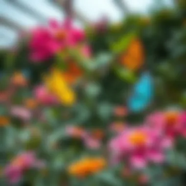 Colorful Butterflies in Dubai Butterfly Garden Botanical landscape of Dubai Butterfly Garden