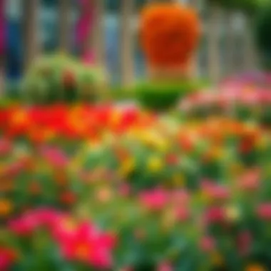 Vibrant Floral Displays at Dubai Miracle Garden Lush greenery in Dubai Miracle Garden
