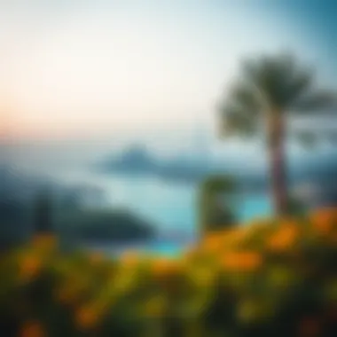 Scenic Beauty of Safa Park Scenic views from Safa Park