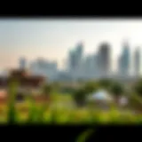 Lush Greenery in Urban Dubai A panoramic view of Grassland Barsha showcasing its lush greenery against the Dubai skyline.