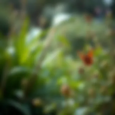 Close-up of native plants and wildlife thriving in the park