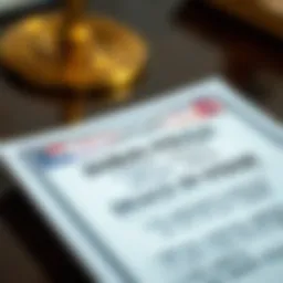 A detailed view of a Dubai visa document