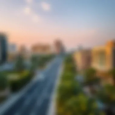 Urban Development Near Meena Bazar Metro Station Surrounding landscape and emerging real estate around Meena Bazar Metro Station