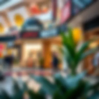 Shopping Diversity at Nesto Circle Mall Diverse shopping options available at Nesto Circle Mall