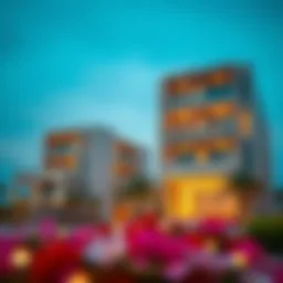 Renewing Residency for the Spouse of an Emirati National Introduction